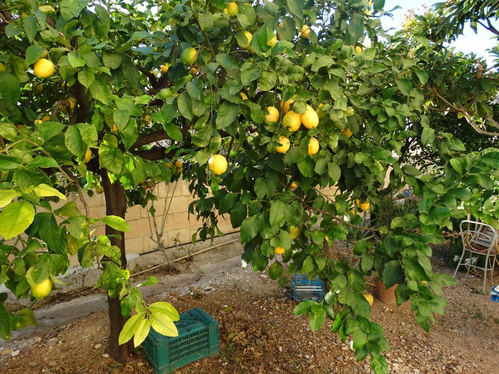 Il Giardino Del Corso Avola Exterior foto